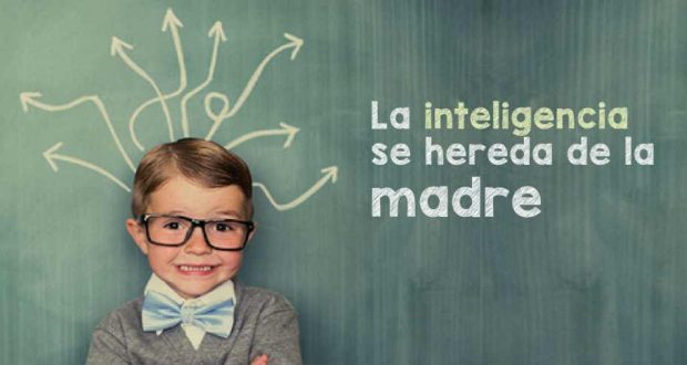 La Inteligencia se Hereda de la Madre y No del Padre, Según Estudio  Científico - Ciudadanos por México